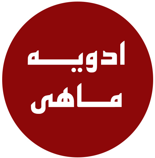 ادویه-ماهی1